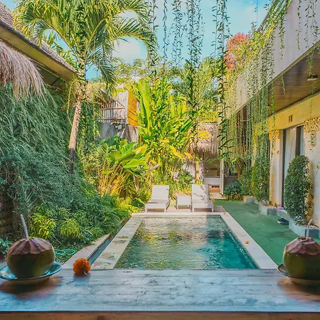 Butterfly Guesthouse Canggu
